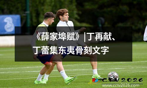 《薛家埠赋》|丁再献、丁蕾集东夷骨刻文字