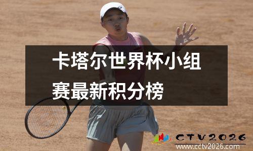 卡塔尔世界杯小组赛最新积分榜