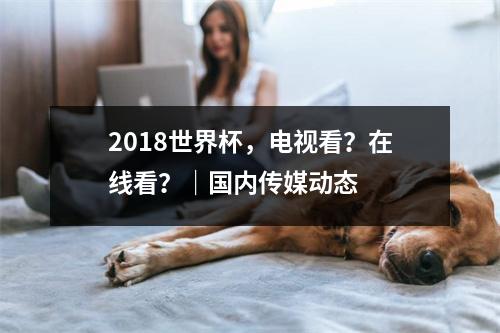 2018世界杯，电视看？在线看？｜国内传媒动态