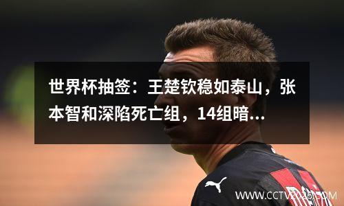 世界杯抽签：王楚钦稳如泰山，张本智和深陷死亡组，14组暗藏杀机