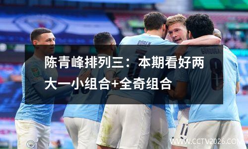 陈青峰排列三：本期看好两大一小组合+全奇组合