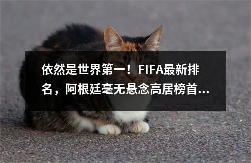 依然是世界第一！FIFA最新排名，阿根廷毫无悬念高居榜首