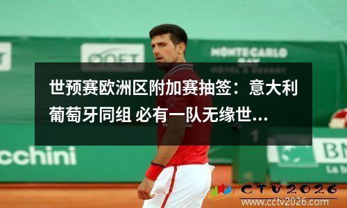 世预赛欧洲区附加赛抽签：意大利葡萄牙同组 必有一队无缘世界杯
