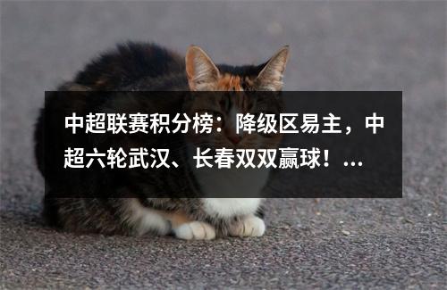 中超联赛积分榜：降级区易主，中超六轮武汉、长春双双赢球！