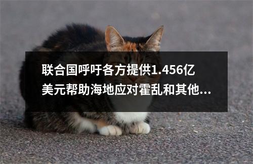 联合国呼吁各方提供1.456亿美元帮助海地应对霍乱和其他人道危机