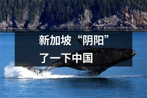 新加坡“阴阳”了一下中国
