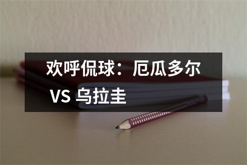 欢呼侃球：厄瓜多尔 VS 乌拉圭