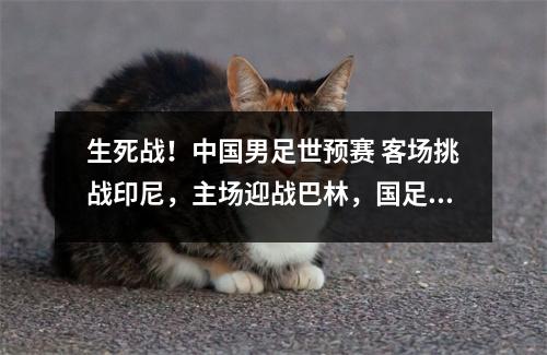 生死战！中国男足世预赛 客场挑战印尼，主场迎战巴林，国足出线