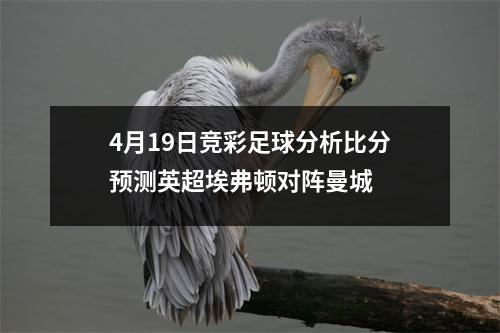 4月19日竞彩足球分析比分预测英超埃弗顿对阵曼城