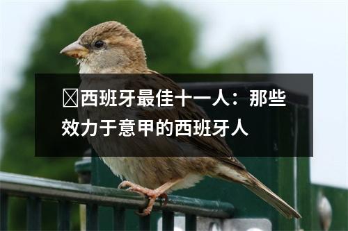 ​西班牙最佳十一人：那些效力于意甲的西班牙人