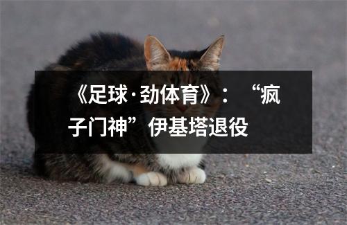 《足球·劲体育》：“疯子门神”伊基塔退役