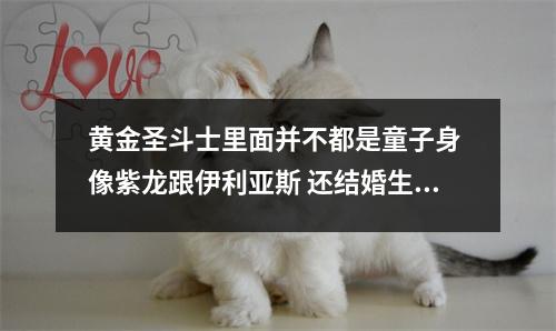 黄金圣斗士里面并不都是童子身 像紫龙跟伊利亚斯 还结婚生小孩