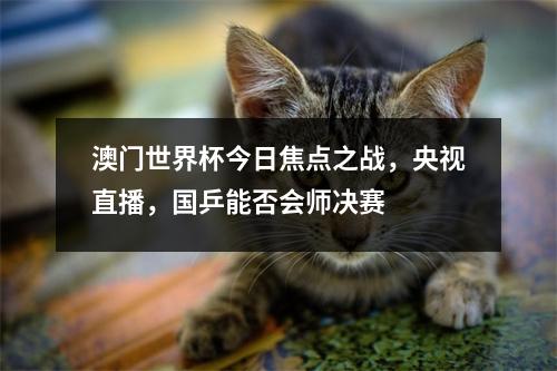 澳门世界杯今日焦点之战，央视直播，国乒能否会师决赛