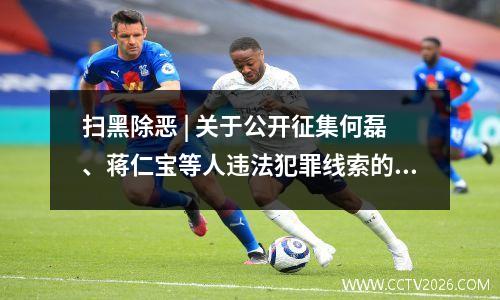 扫黑除恶 | 关于公开征集何磊、蒋仁宝等人违法犯罪线索的通告
