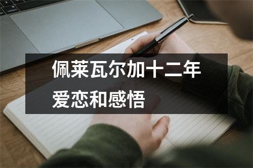 佩莱瓦尔加十二年爱恋和感悟