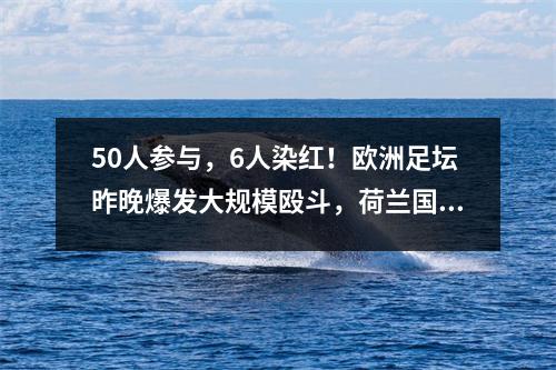 50人参与，6人染红！欧洲足坛昨晚爆发大规模殴斗，荷兰国脚挑事