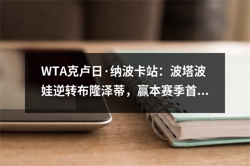 WTA克卢日·纳波卡站：波塔波娃逆转布隆泽蒂，赢本赛季首冠