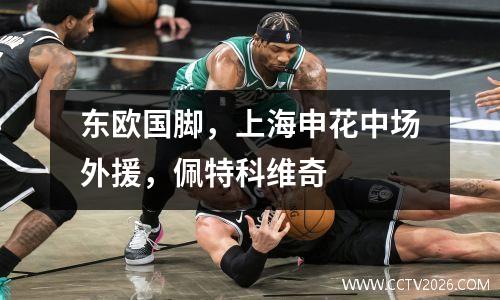 东欧国脚，上海申花中场外援，佩特科维奇