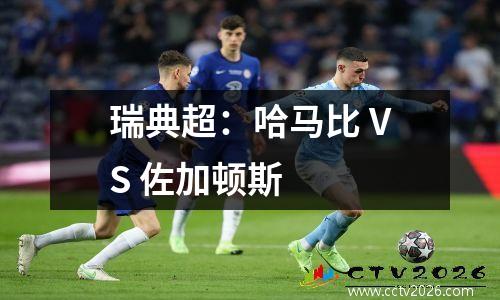 瑞典超：哈马比 VS 佐加顿斯