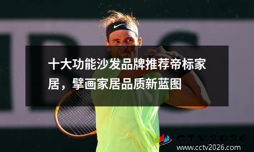 十大功能沙发品牌推荐帝标家居，擘画家居品质新蓝图