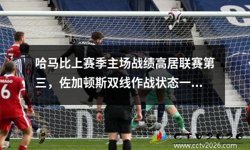 哈马比上赛季主场战绩高居联赛第三，佐加顿斯双线作战状态一般
