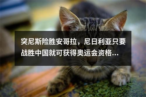 突尼斯险胜安哥拉，尼日利亚只要战胜中国就可获得奥运会资格