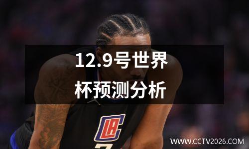 12.9号世界杯预测分析