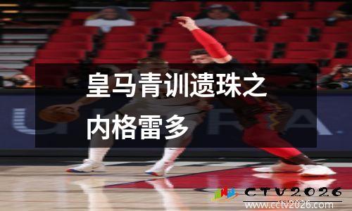 皇马青训遗珠之内格雷多