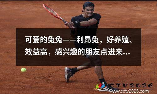 可爱的兔兔——利昂兔，好养殖、效益高，感兴趣的朋友点进来