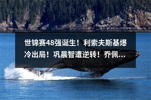 世锦赛48强诞生！利索夫斯基爆冷出局！巩晨智遭逆转！乔佩里退役