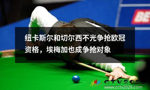 纽卡斯尔和切尔西不光争抢欧冠资格，埃梅加也成争抢对象