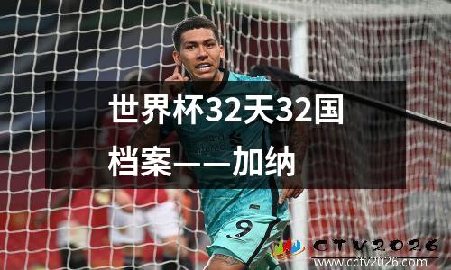 世界杯32天32国档案——加纳