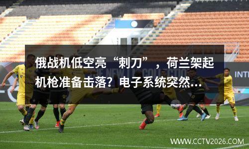 俄战机低空亮“刺刀”，荷兰架起机枪准备击落？电子系统突然失灵