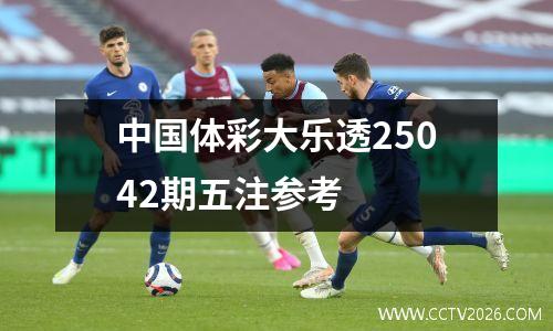 中国体彩大乐透25042期五注参考