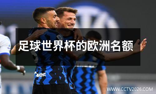 足球世界杯的欧洲名额