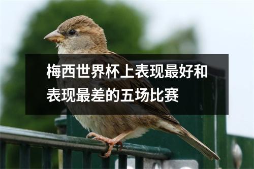 梅西世界杯上表现最好和表现最差的五场比赛