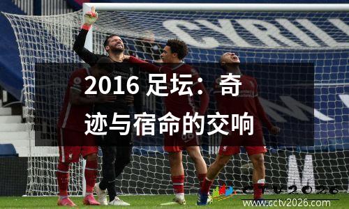 2016 足坛：奇迹与宿命的交响