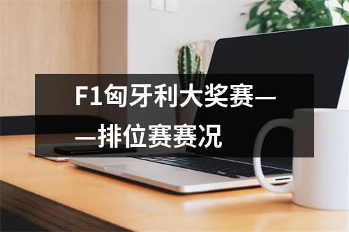 F1匈牙利大奖赛——排位赛赛况
