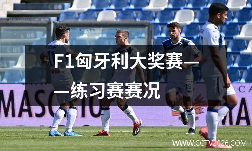 F1匈牙利大奖赛——练习赛赛况