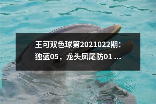 王可双色球第2021022期：独蓝05，龙头凤尾防01 29