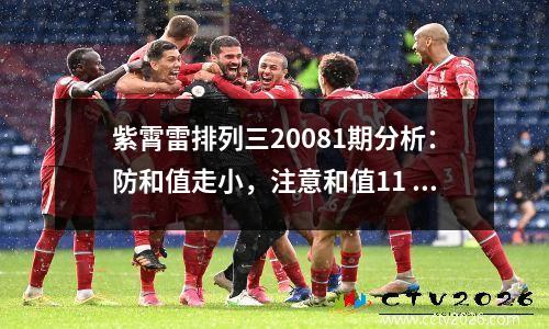 紫霄雷排列三20081期分析：防和值走小，注意和值11