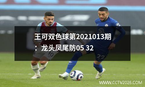 王可双色球第2021013期：龙头凤尾防05 32
