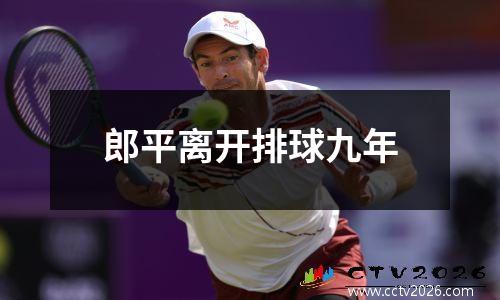 郎平离开排球九年