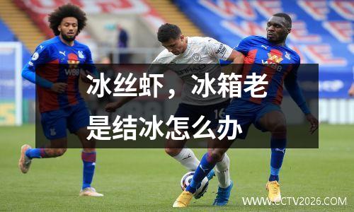 冰丝虾，冰箱老是结冰怎么办