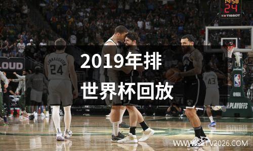 2019年排世界杯回放
