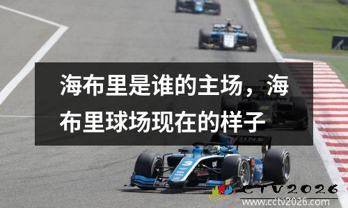 海布里是谁的主场，海布里球场现在的样子