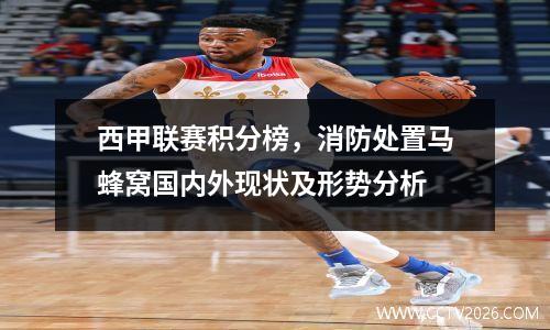 西甲联赛积分榜，消防处置马蜂窝国内外现状及形势分析