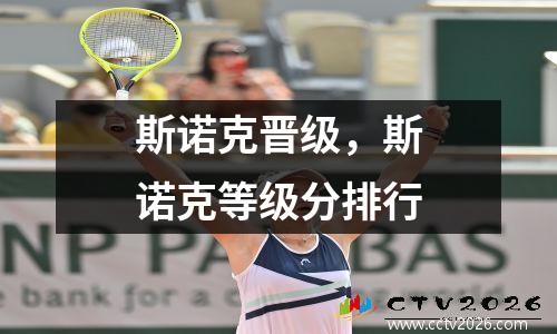 斯诺克晋级，斯诺克等级分排行