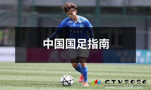 中国国足指南