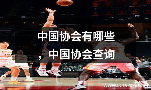 中国协会有哪些，中国协会查询